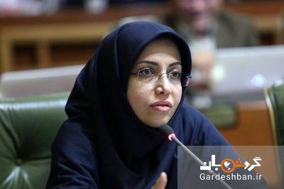 اجرای برنامه های گردشگری مناطق به مناسبت روز تهران اجرای برنامه های گردشگری منطقه ها به مناسبت روز تهران