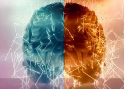 آیا برداشتن نیمی از مغز عملکرد آن را نصف می کند؟