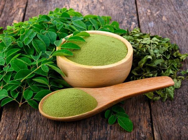 مورینگا؛ درخت معجزه! مورینگا؛ درخت معجزه!